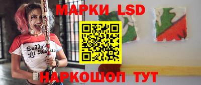 МДПВ Бердск